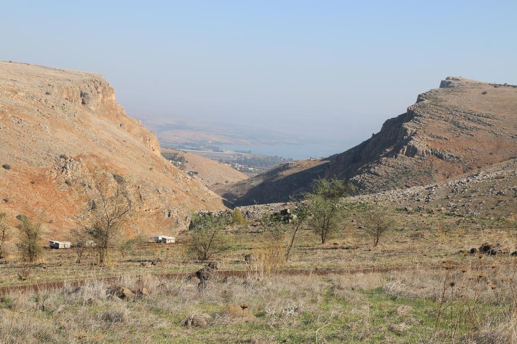 Switzerland In The Arbel 게스트하우스 객실 사진